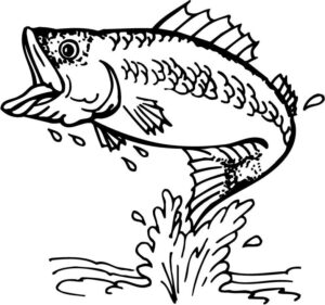 This Is Best Bass Fish Outline 18252 Free Coloring Pages For Your