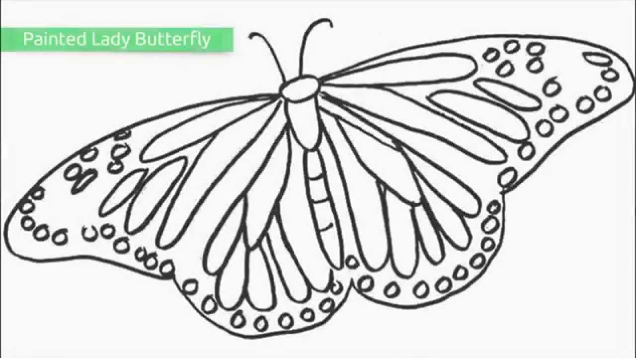 Top 25 Free Printable Butterfly Coloring Pages YouTube