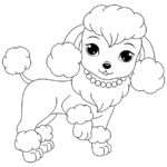 Toy Poodle Drawing At GetDrawings Free Download