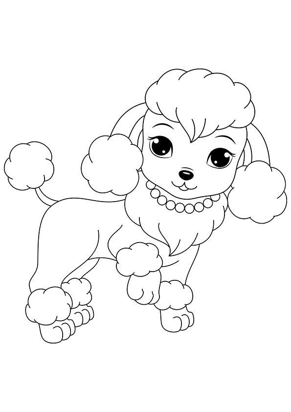 Toy Poodle Drawing At GetDrawings Free Download