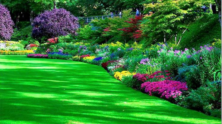 Trends Home Design Ideas In 2020 Flower Garden Images Garden Images 