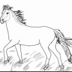 Western Horse Coloring Pages At GetColorings Free Printable