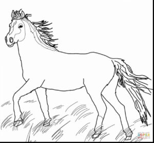 Western Horse Coloring Pages At GetColorings Free Printable