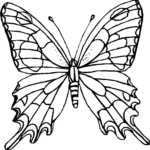 White Butterfly Coloring Pages To Print