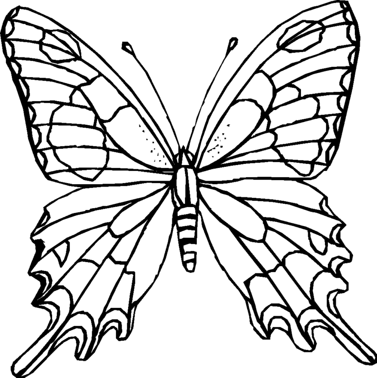 white-butterfly-coloring-pages-to-print-printable-pictures