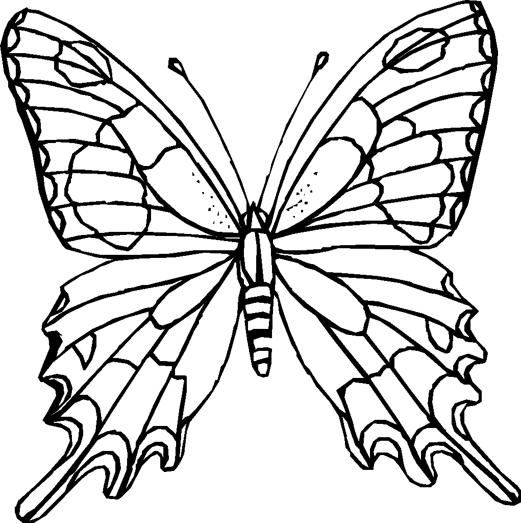 White Butterfly Coloring Pages To Print