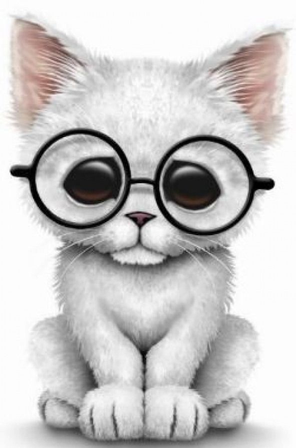 White Kitten In Glasses cutedrawing cute drawing cat Cute 