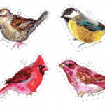 Winter Birds Free Printables Making It Lovely