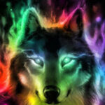 Wolf Papper Wolf Colors Spirit Animal Art Wolf Pictures