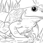 Zoo Animals Coloring Pages Best Coloring Pages For Kids