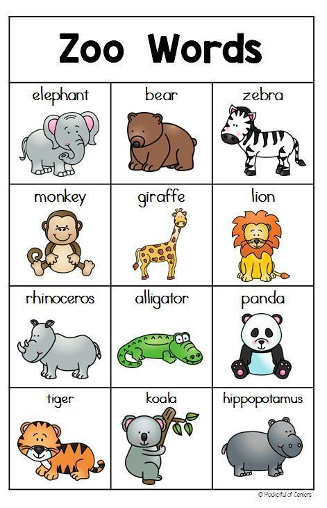 Zoo Animals Zoo Animals Preschool Zoo Preschool Learning English 