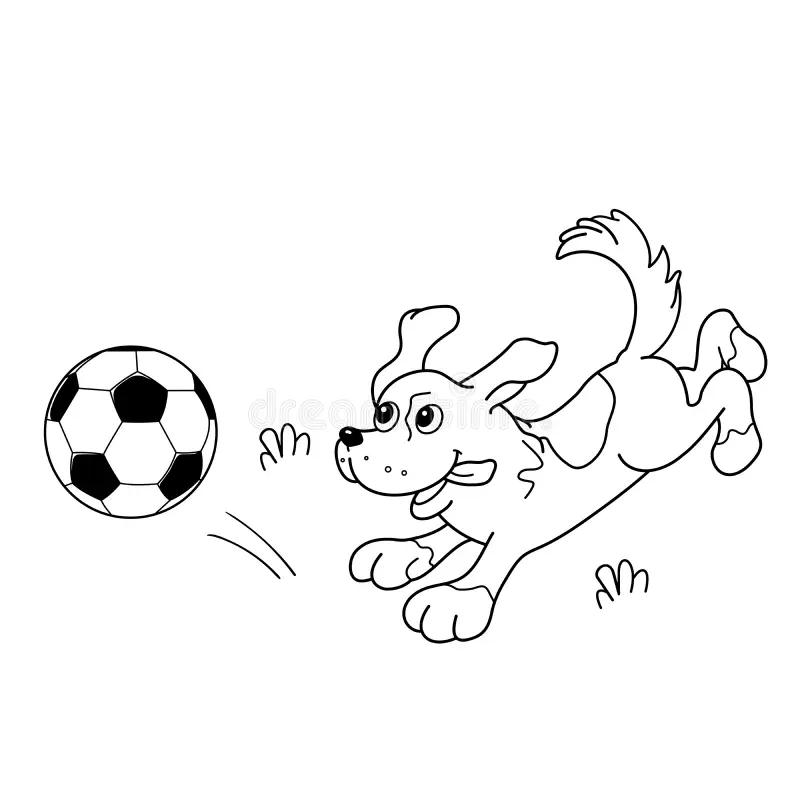 Animal Sports Coloring Page Animal Sports Coloring Page