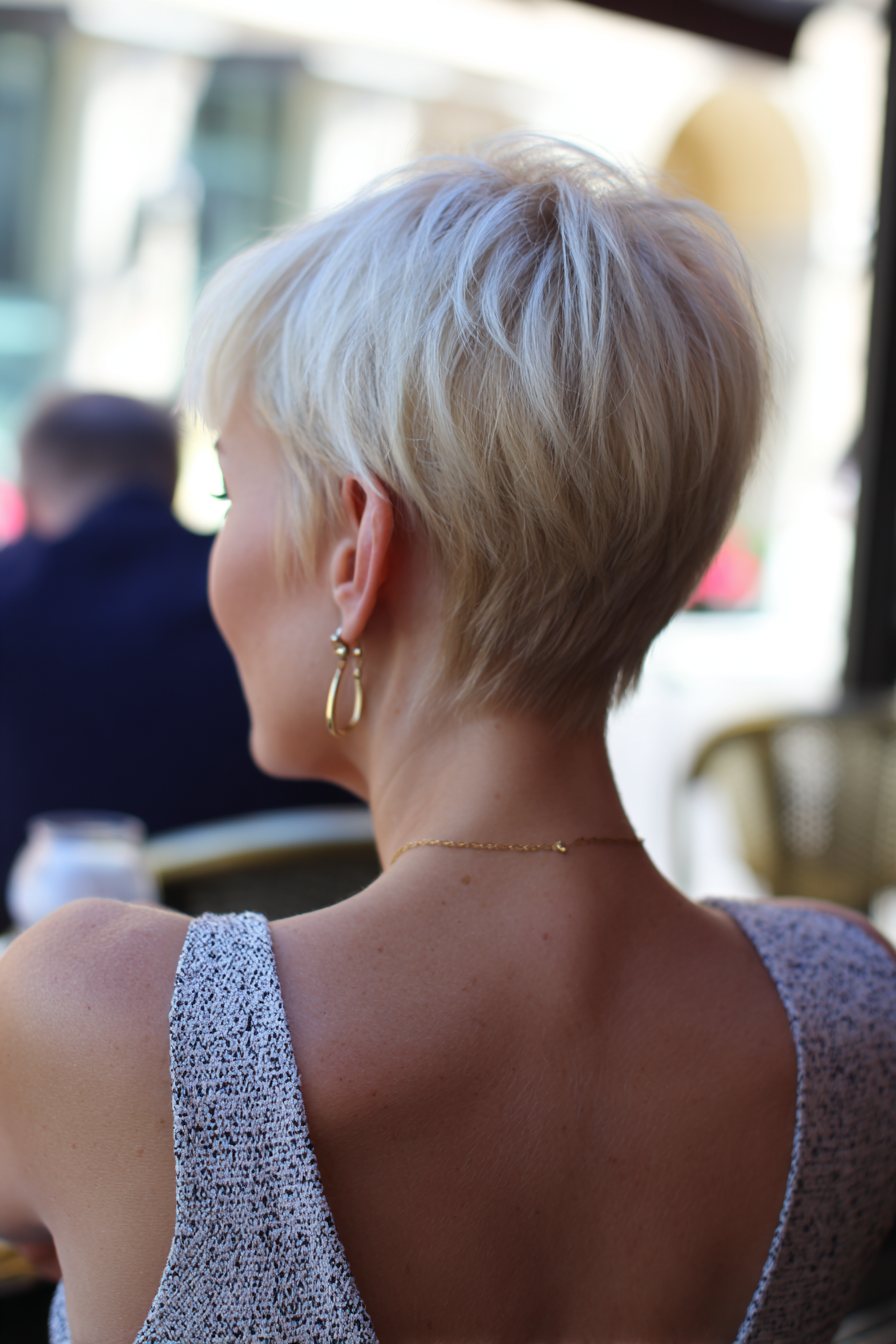 Best Pixie Cut Back View Hairstyles Best Pixie Cut Back View Hairstyles