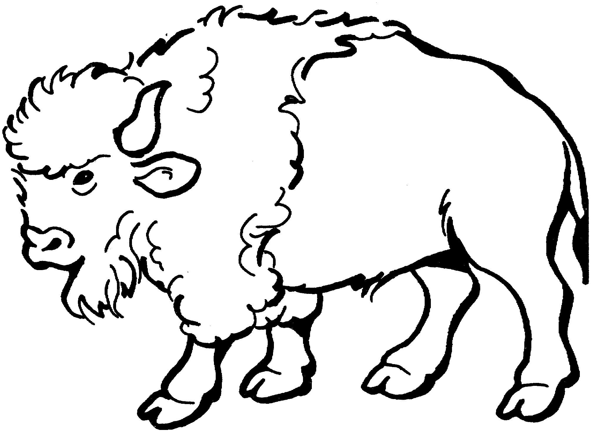 Buffalo Coloring Pages