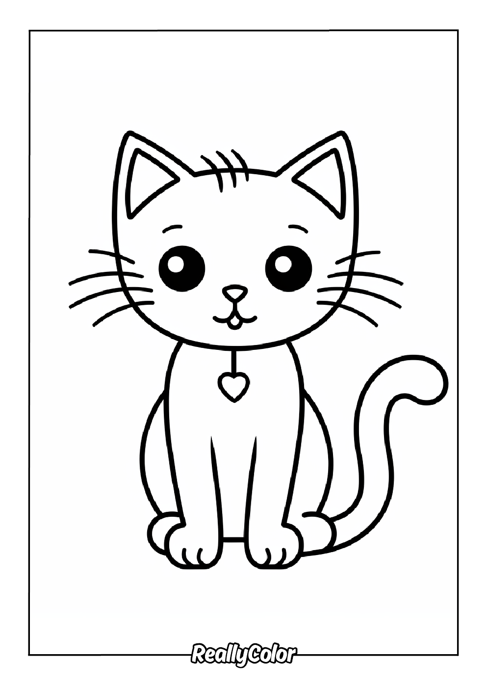 Cat Cat