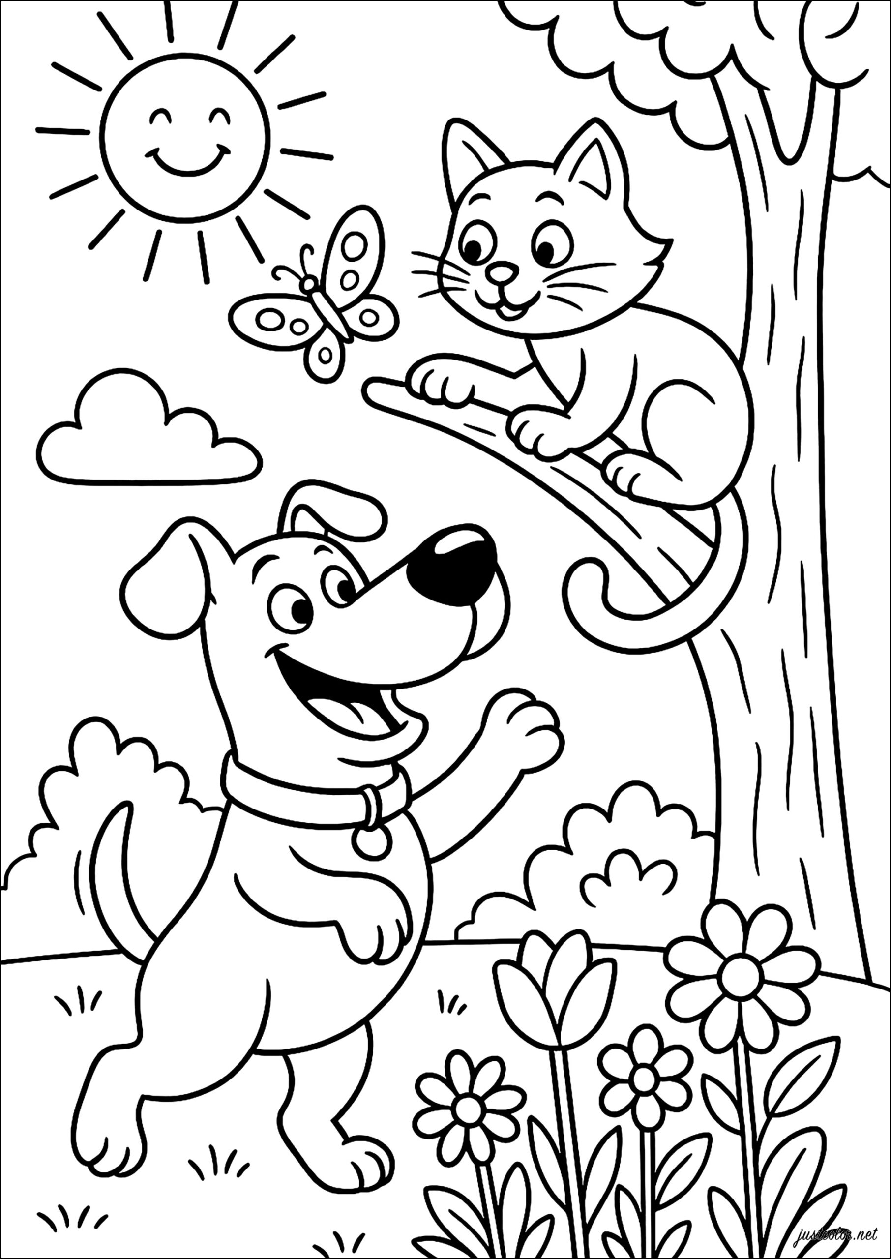Dogs