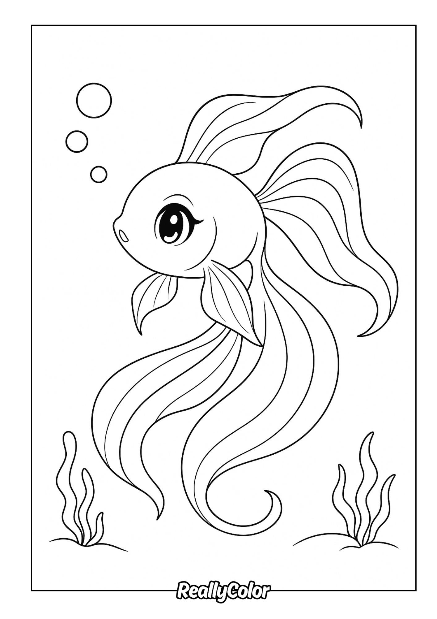 Fish Fish