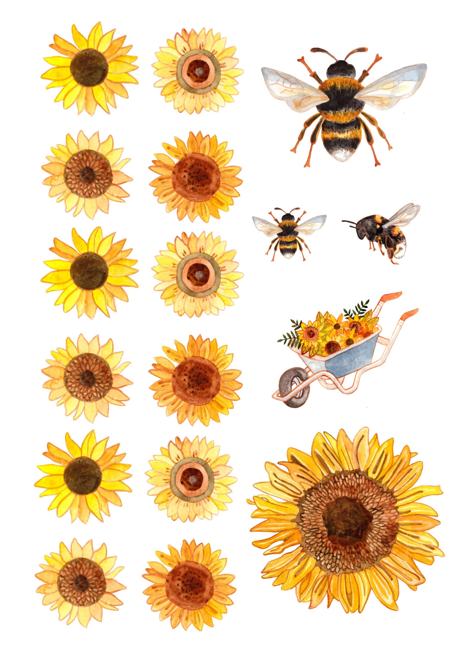 Free Bee And Sunflower Printables