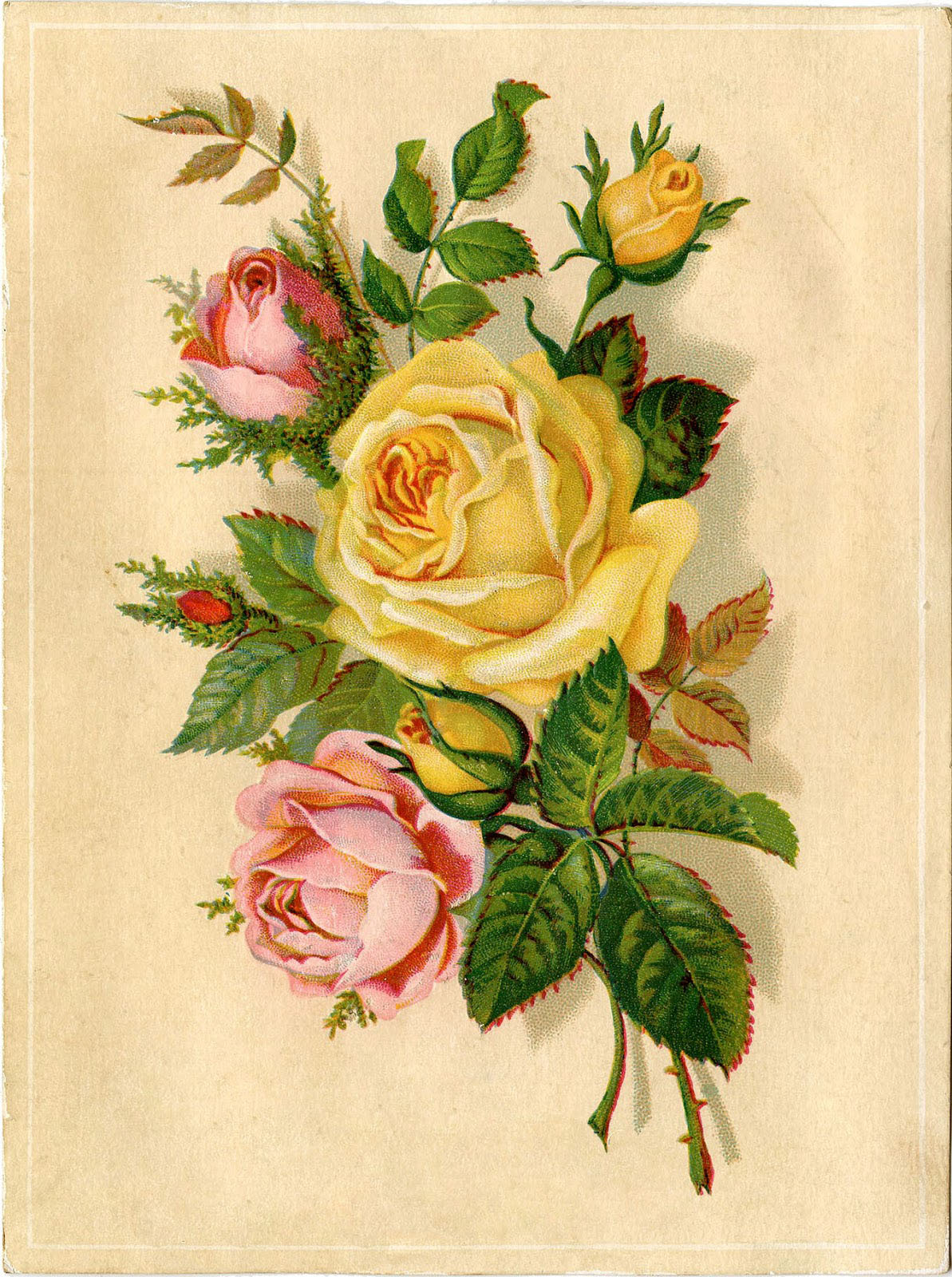 Free Vintage Flower Images