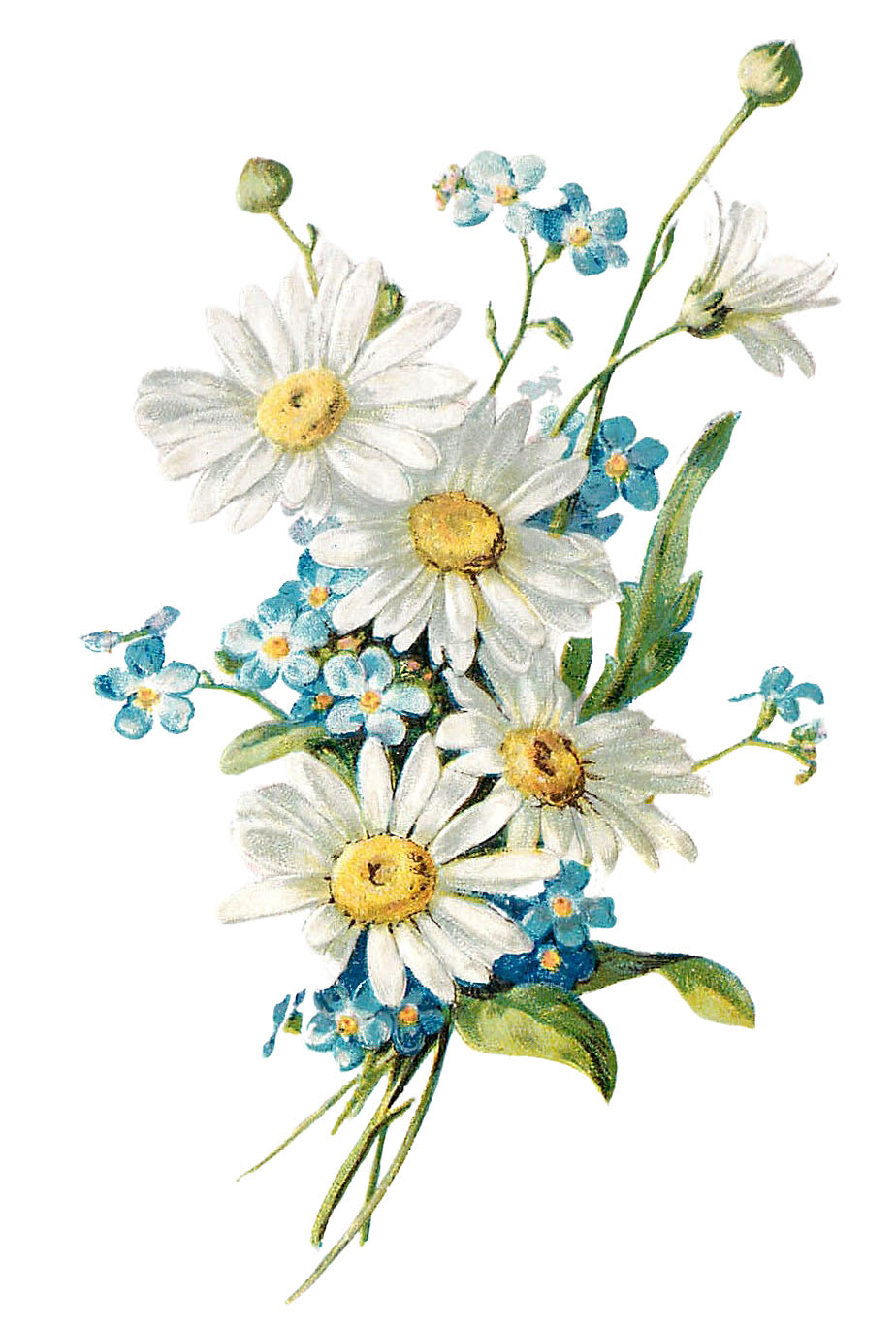 printable flower pictures real