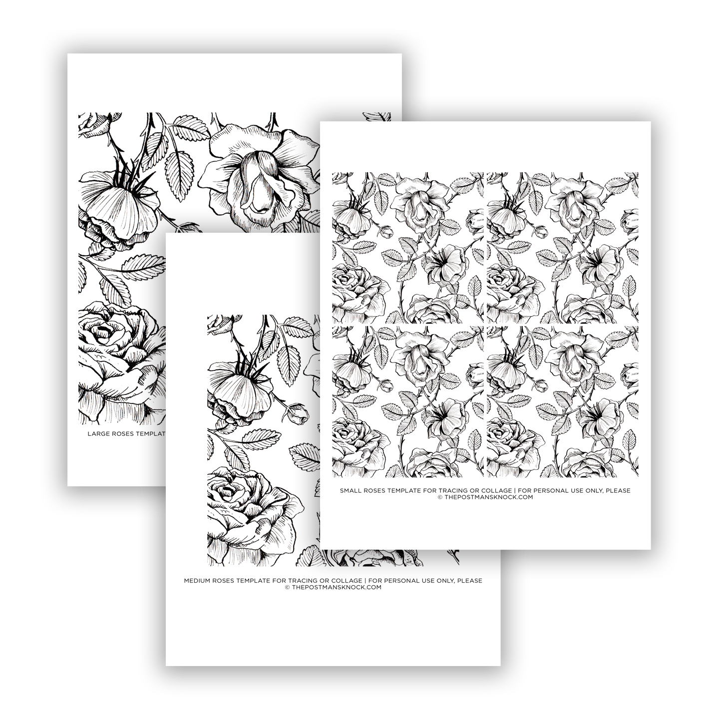 Illustrated Roses Templates For Tracingcollage Illustrated Roses Templates For Tracingcollage
