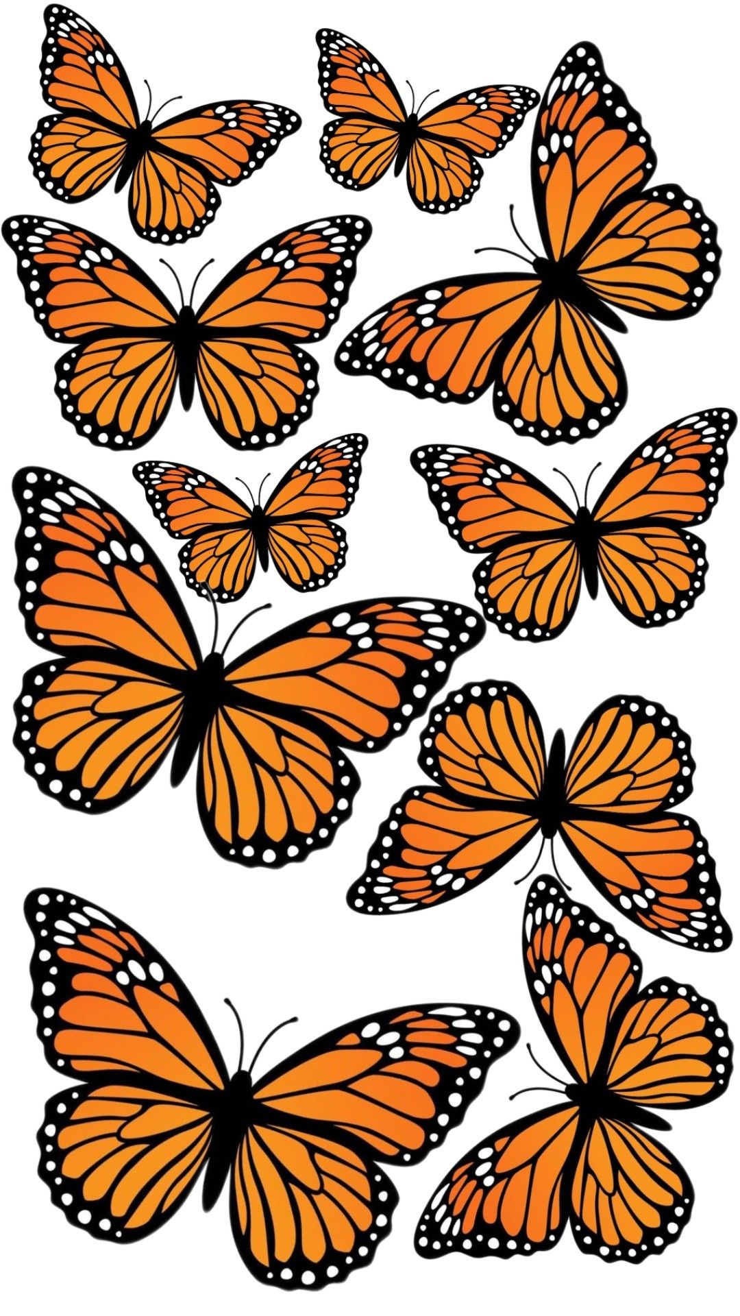 Monarch Butterfly Template Free Printable