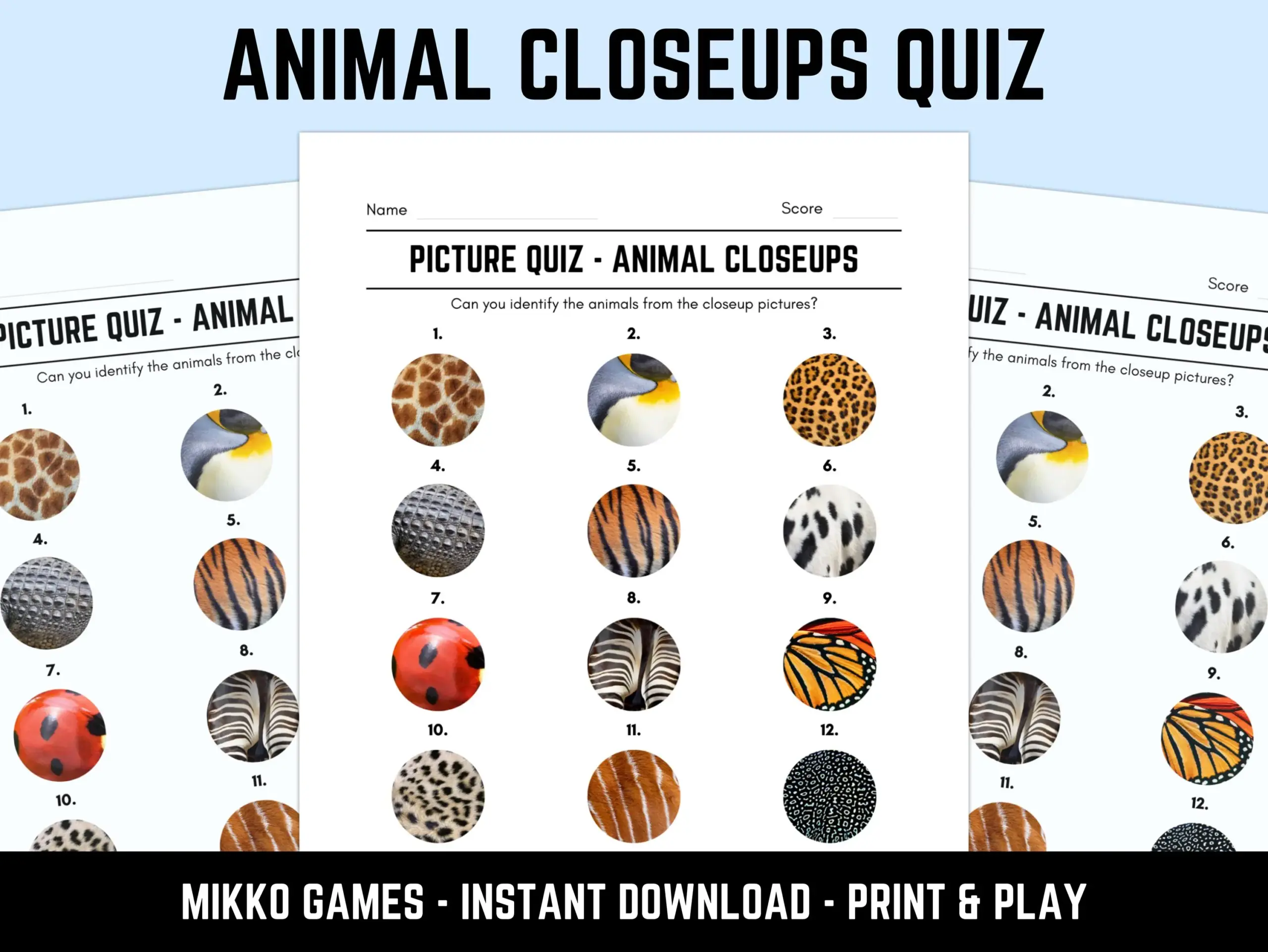 Printable Animal Closeups Picture Quiz