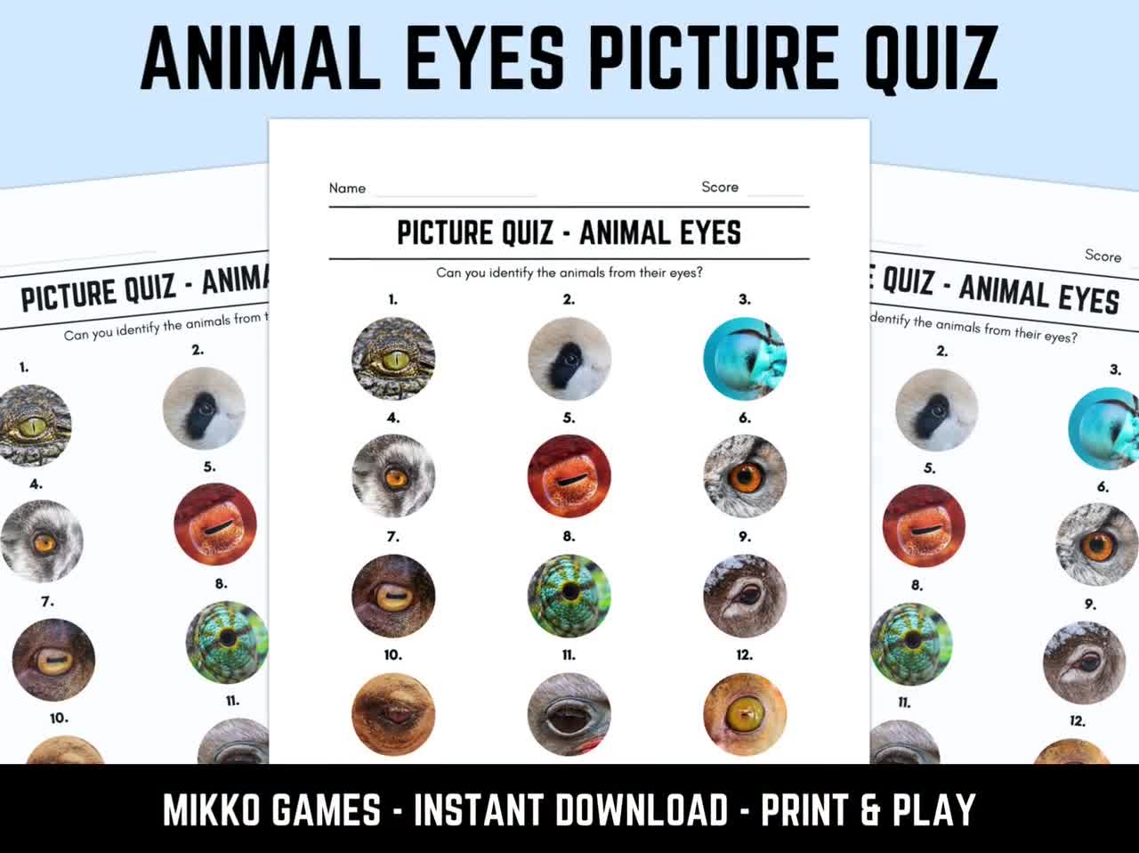 close up picture quiz with answers printable