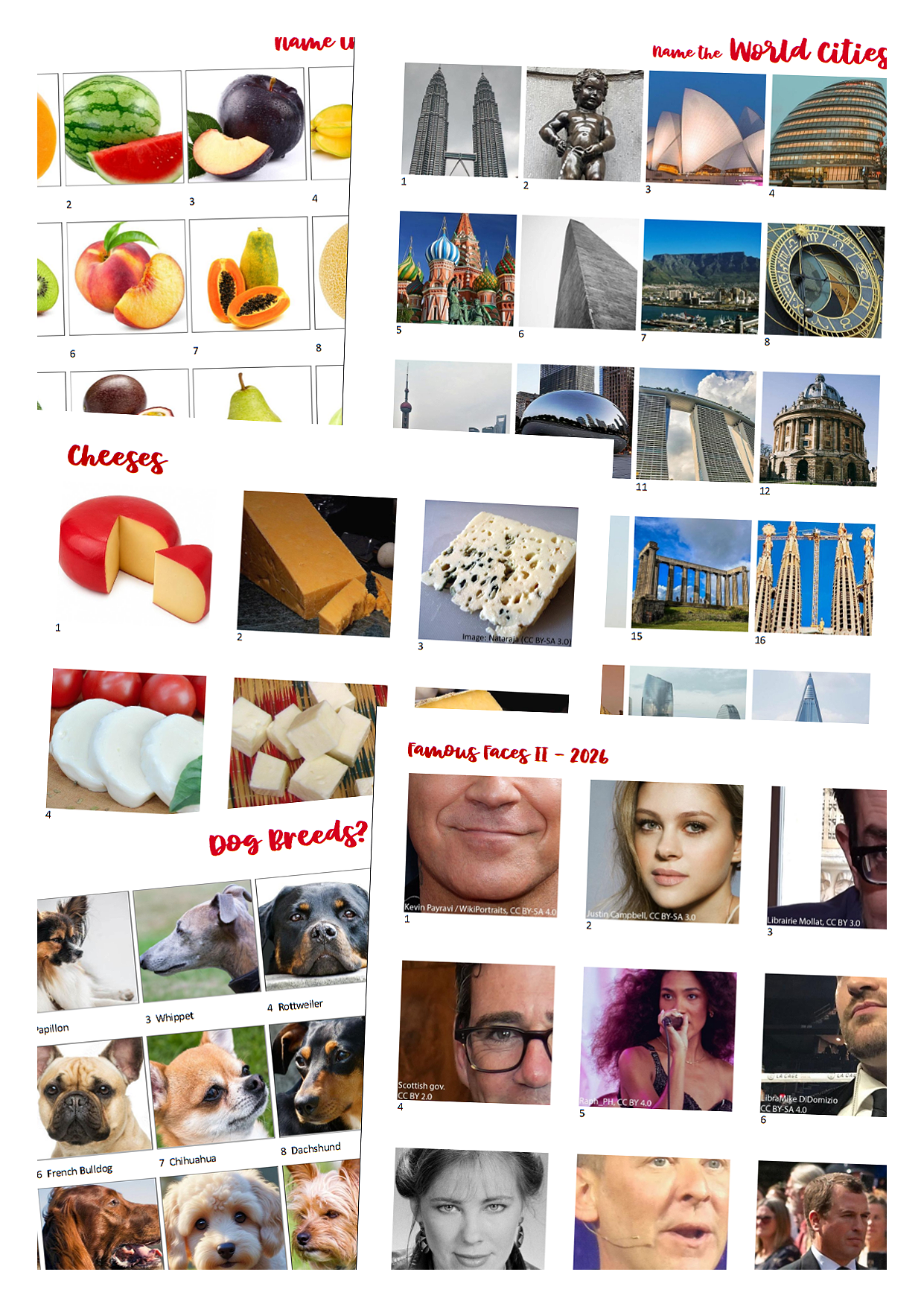 Printable Picture Quizzes