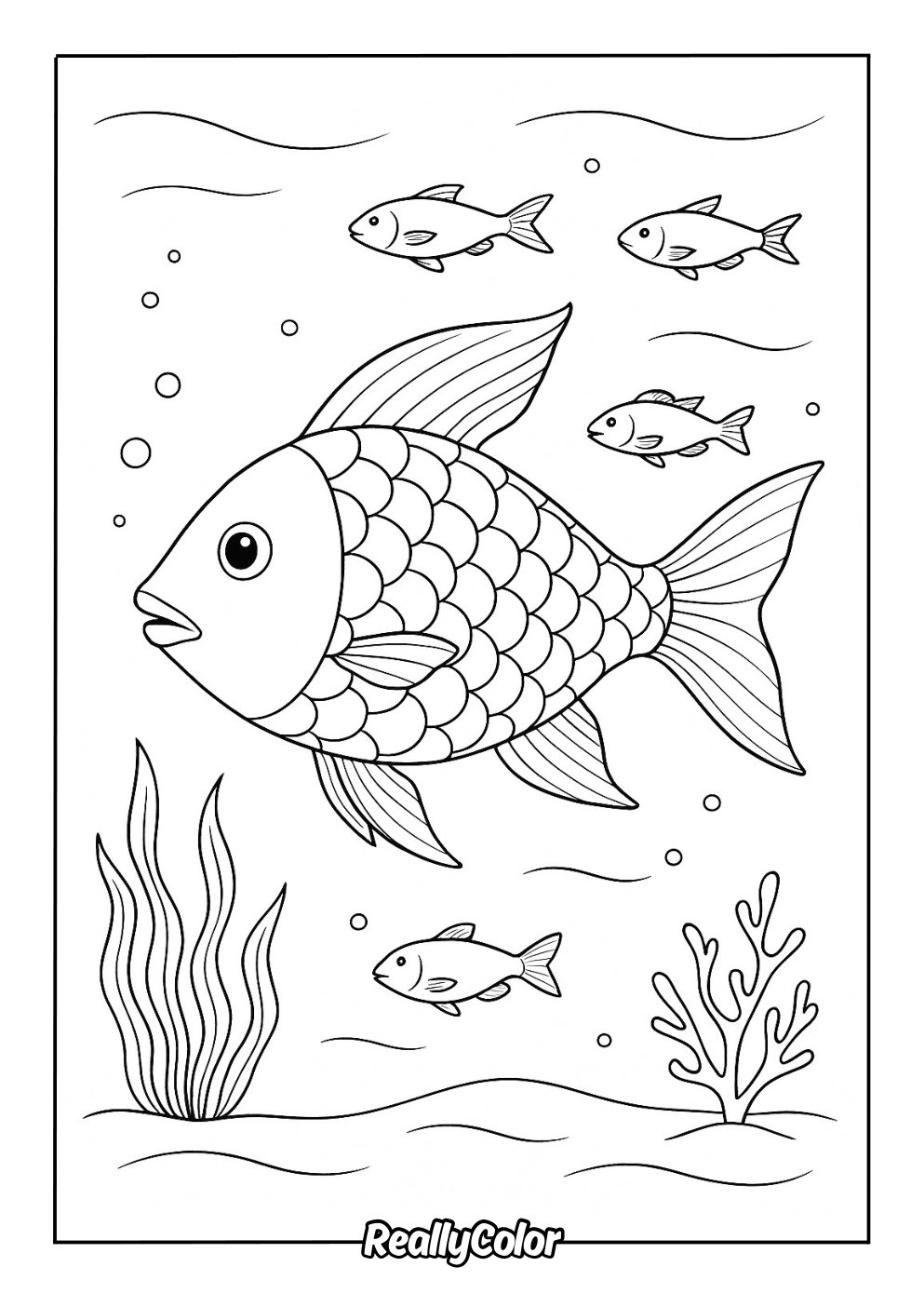 Rainbow Fish Rainbow Fish