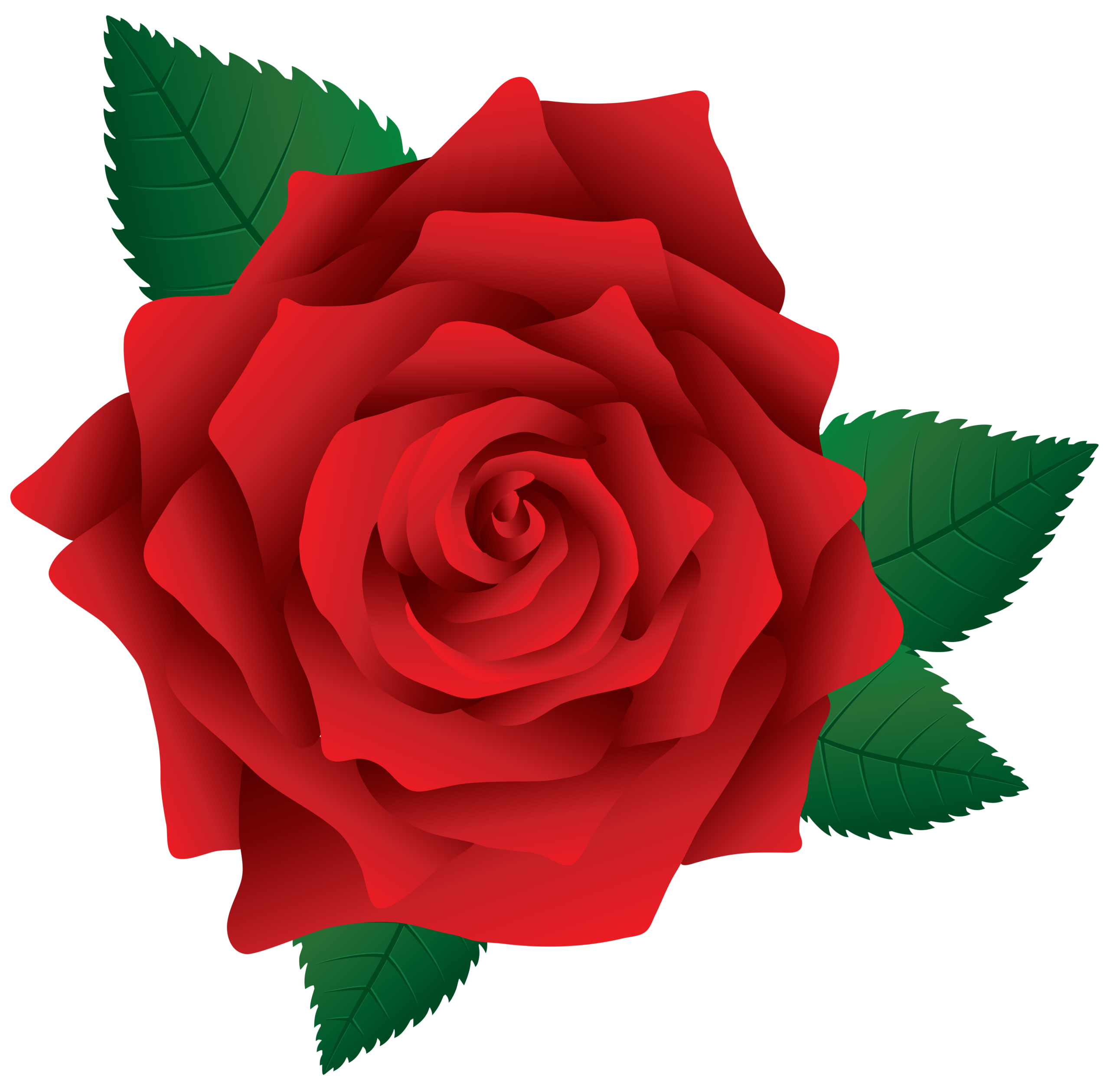 printable picture of red roses printable picture of red roses
