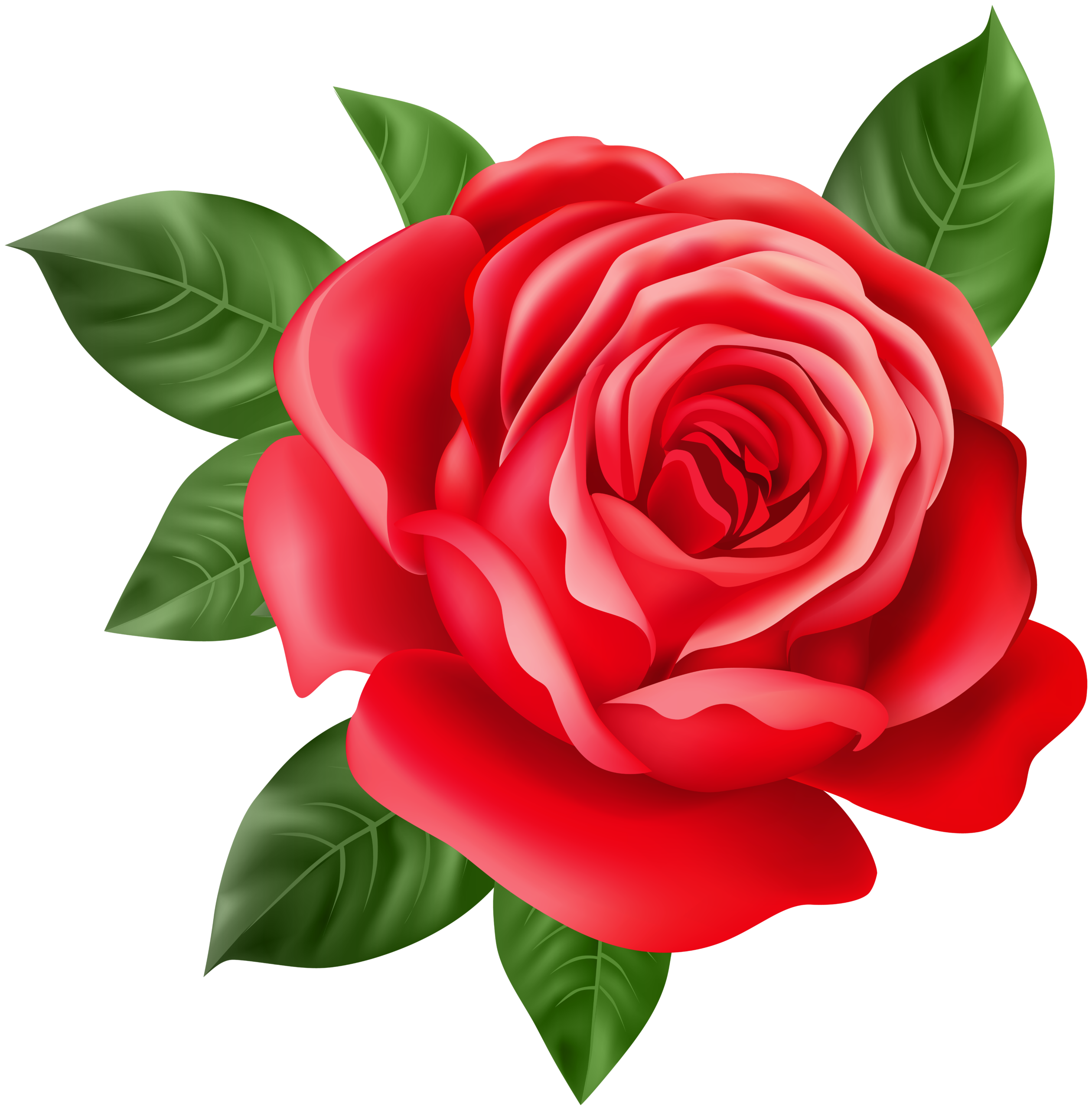 Red Rose Transparent PNG Clip Art 1607123918 Red Rose Transparent PNG Clip Art 1607123918