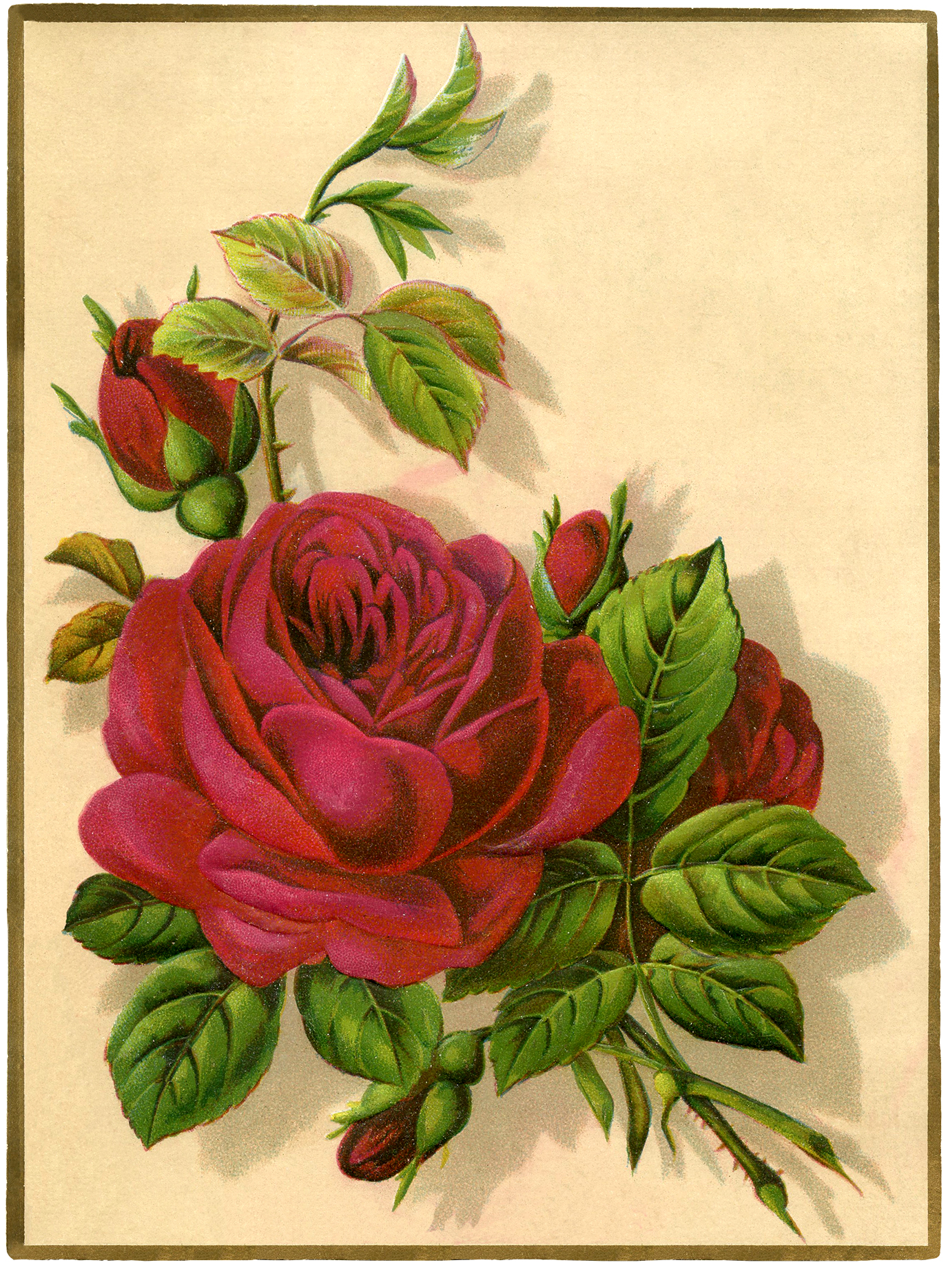 Red Rose Vintage Printable Red Rose Vintage Printable