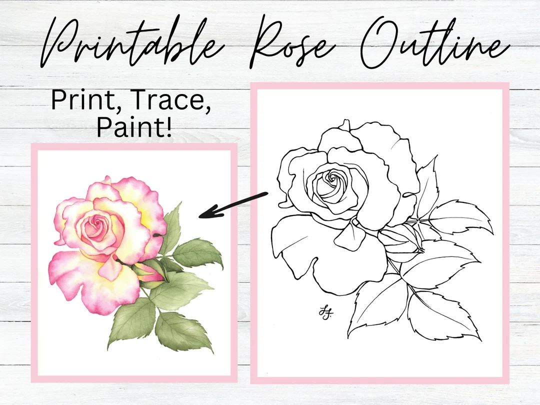 Rose Flower Drawing Outlinetemplate