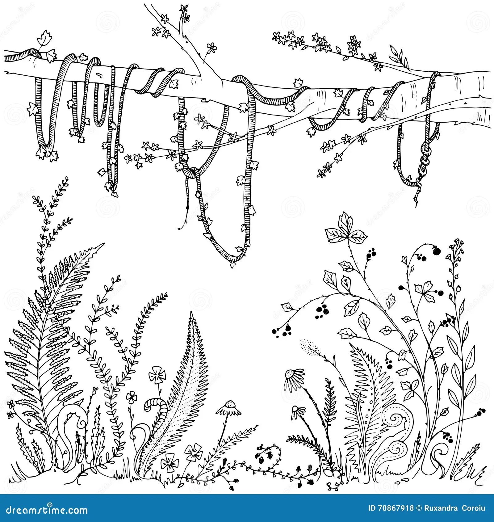 Stock Illustration Ferns Flowers Vines Berries Forest Dense Vegetation Printable Coloring Page Adults Anti Stress Activity Eps Lush Hand Image70867918 Stock Illustration Ferns Flowers Vines Berries Forest Dense Vegetation Printable Coloring Page Adults Anti Stress Activity Eps Lush Hand Image70867918
