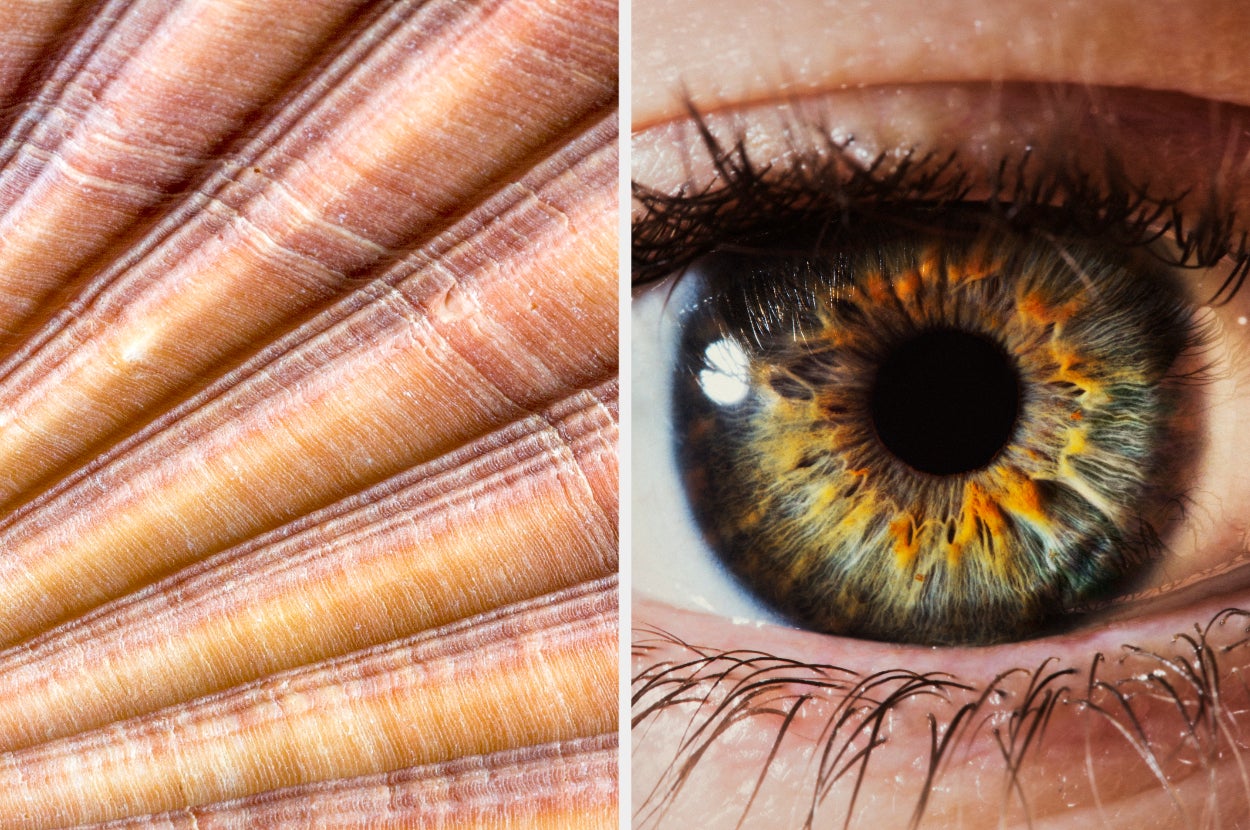 Your Eyes Are Super Tuned If You Can Identify 810 Of These