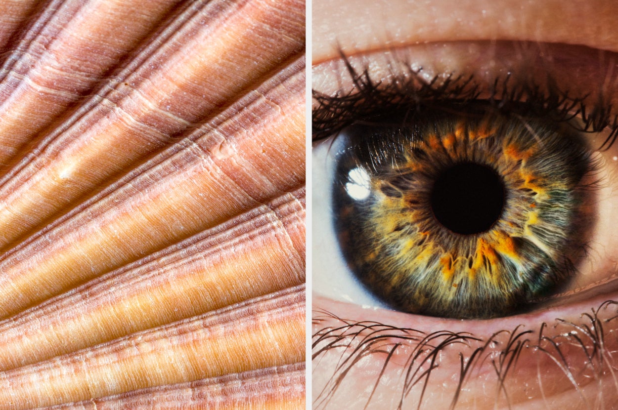 Your Eyes Are Super Tuned If You Can Identify 810 Of These